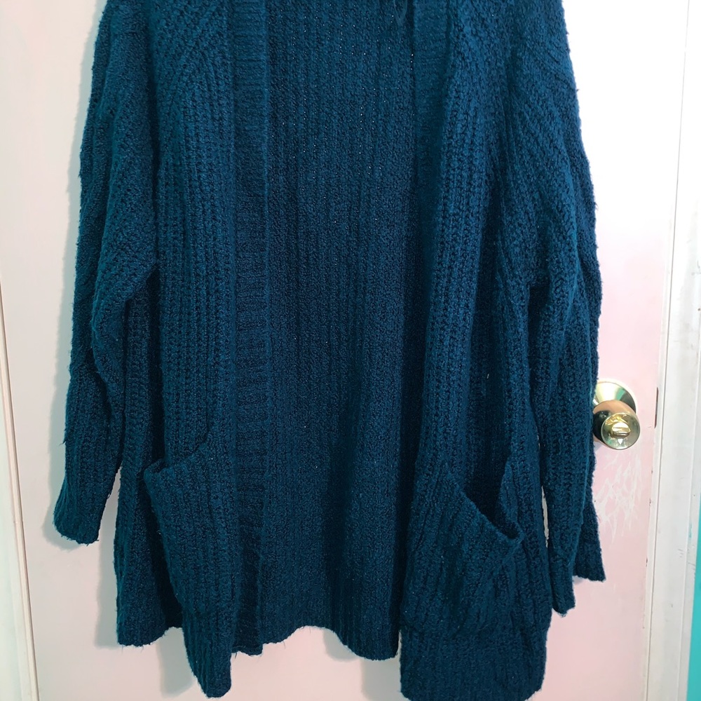 American Eagle Cardigan